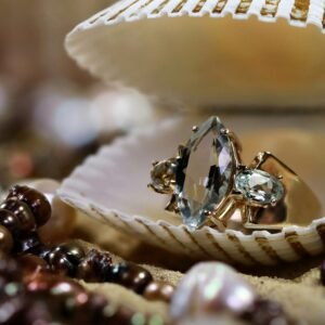 a close up of a seashell with a ring on it
